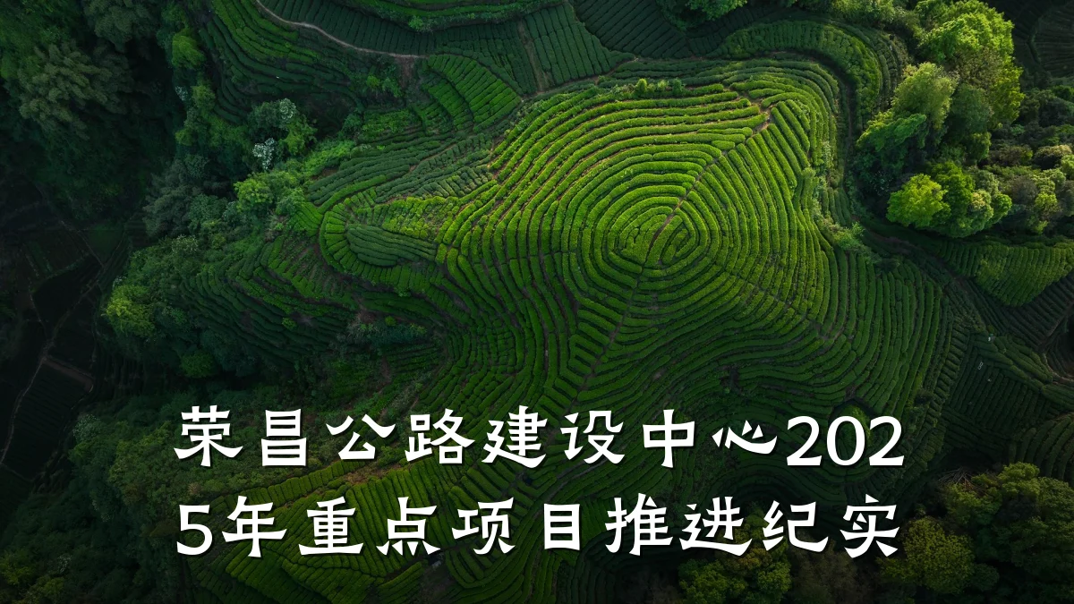 荣昌公路建设中心2025年重点项目推进纪实