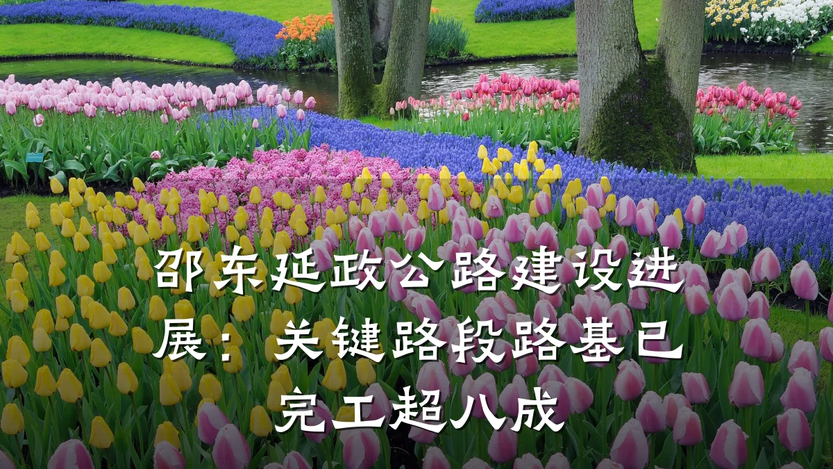 邵东延政公路建设进展:关键路段路基已完工超八成