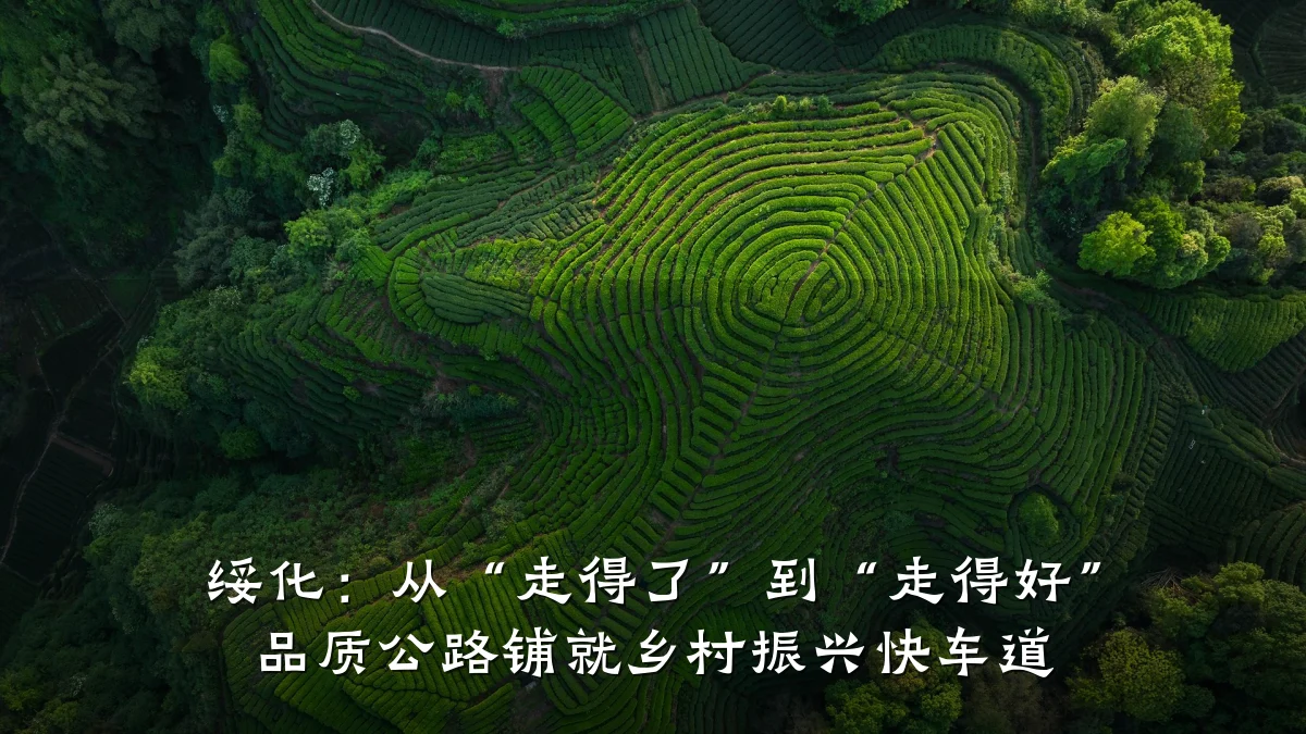绥化：从“走得了”到“走得好” 品质公路铺就乡村振兴快车道