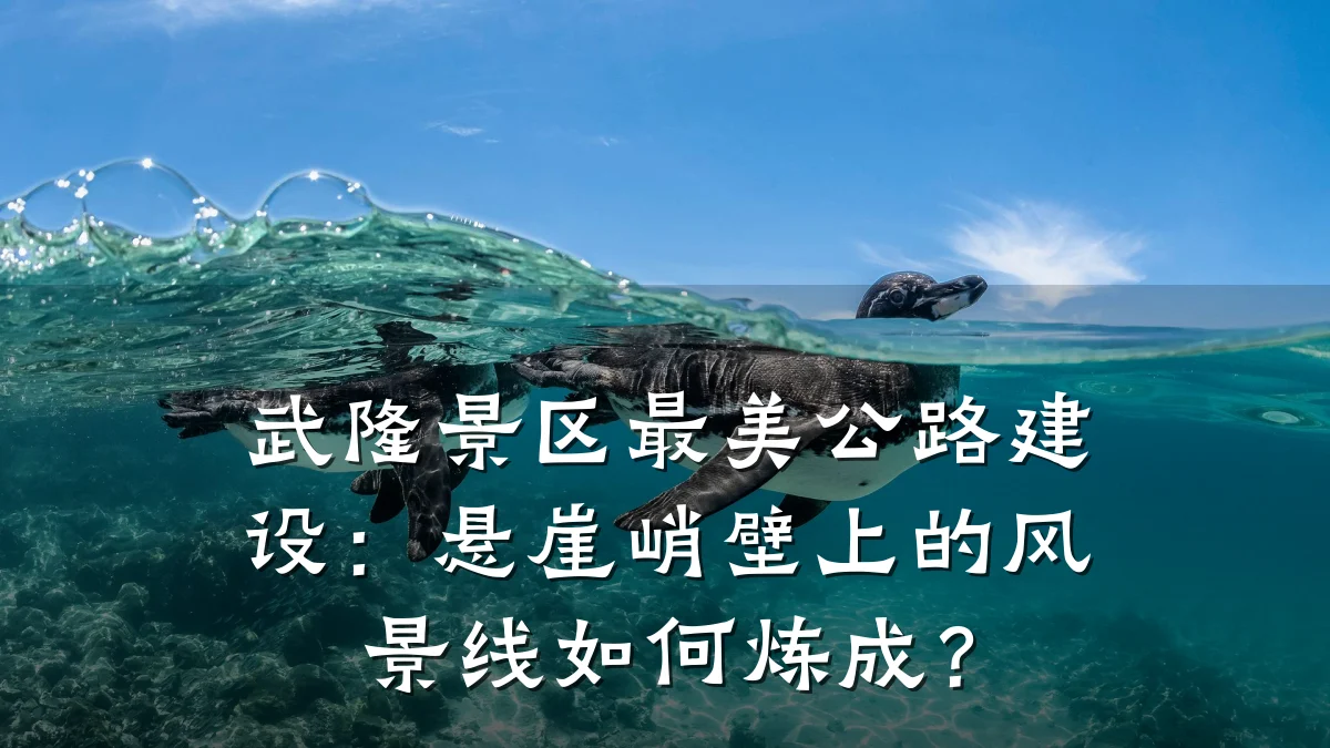 武隆景区最美公路建设:悬崖峭壁上的风景线如何炼成?