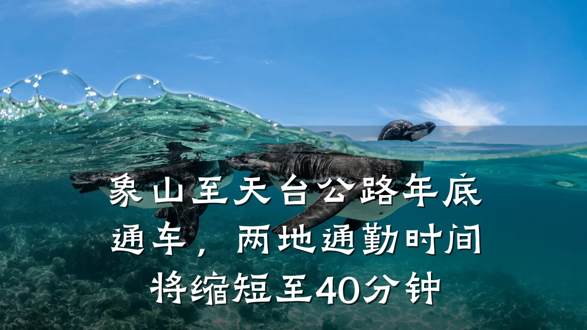 象山至天台公路年底通车,两地通勤时间将缩短至40分钟