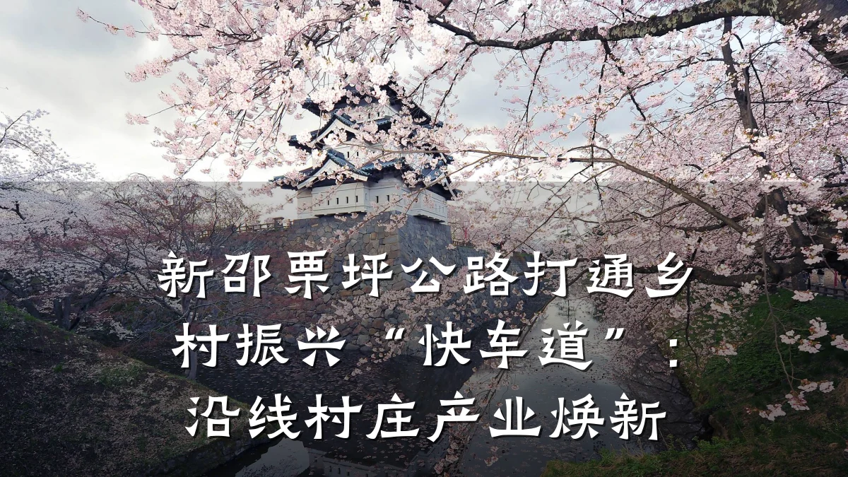 新邵栗坪公路打通乡村振兴“快车道”:沿线村庄产业焕新
