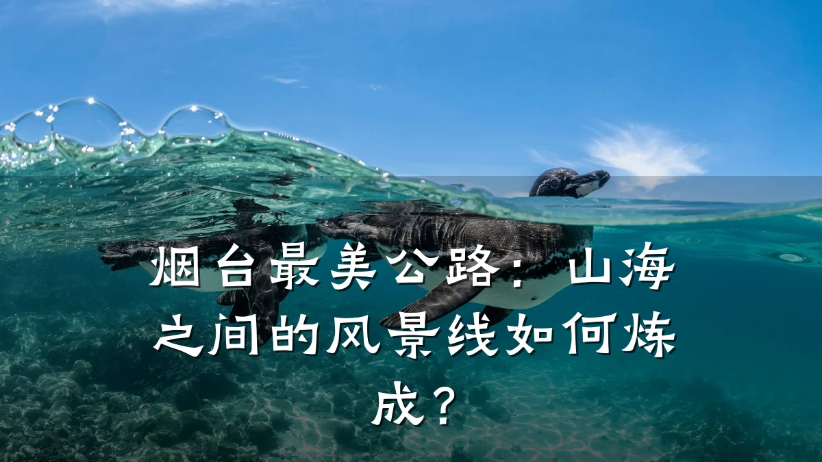 烟台最美公路:山海之间的风景线如何炼成?