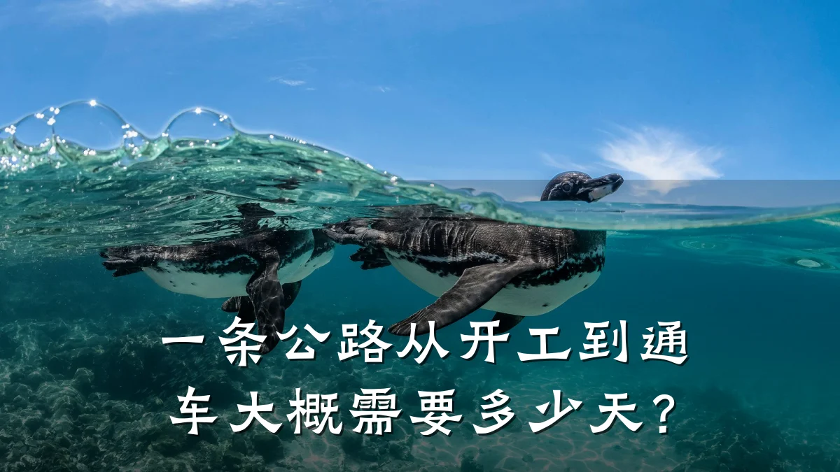 一条公路从开工到通车大概需要多少天?