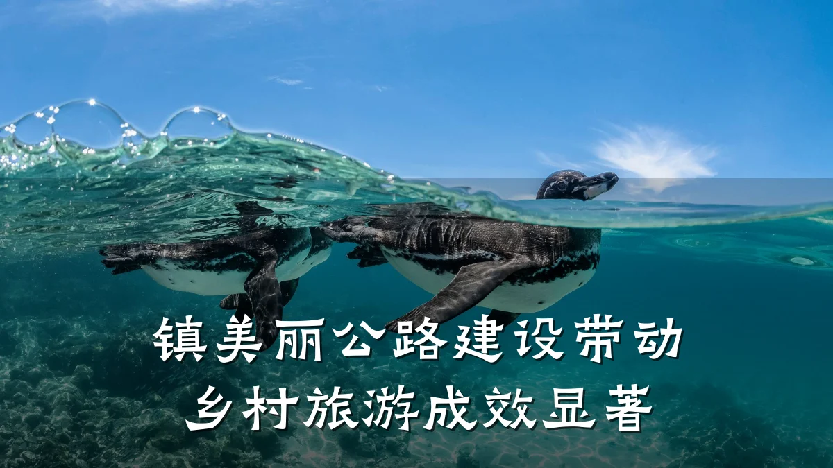 镇美丽公路建设带动乡村旅游成效显著