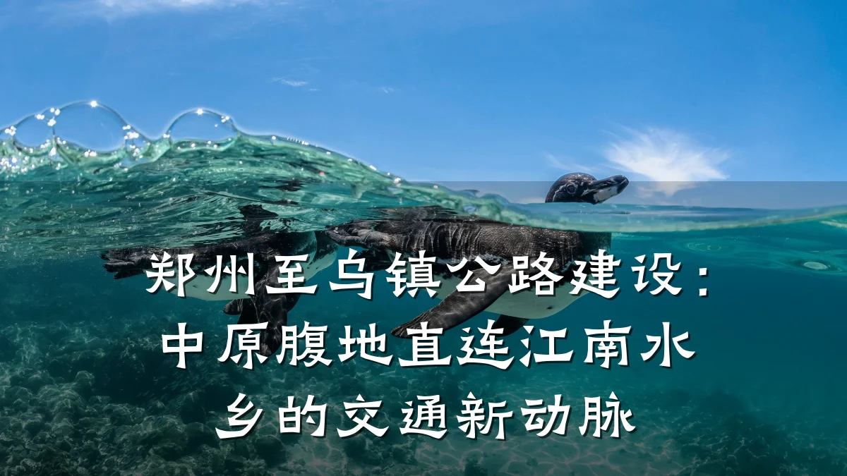 郑州至乌镇公路建设：中原腹地直连江南水乡的交通新动脉
