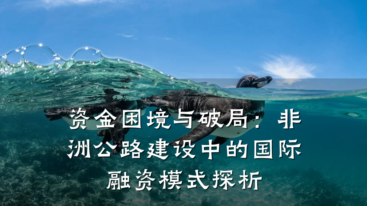 资金困境与破局:非洲公路建设中的国际融资模式探析