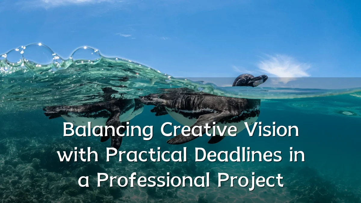 Balancing Creative Vision with Practical Deadlines in a Professional Project