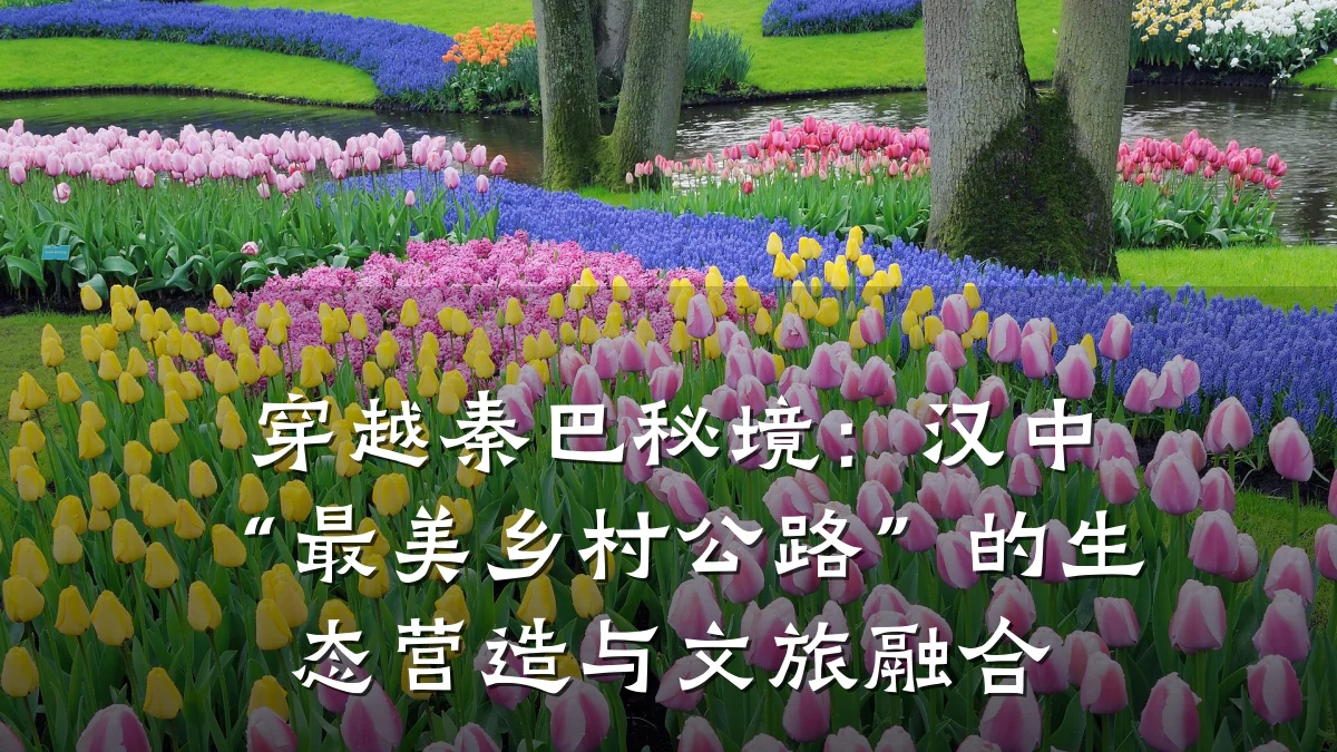 穿越秦巴秘境:汉中“最美乡村公路”的生态营造与文旅融合