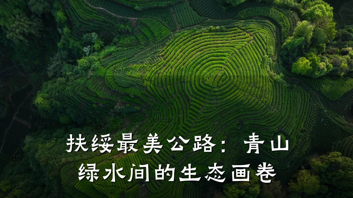 扶绥最美公路:青山绿水间的生态画卷