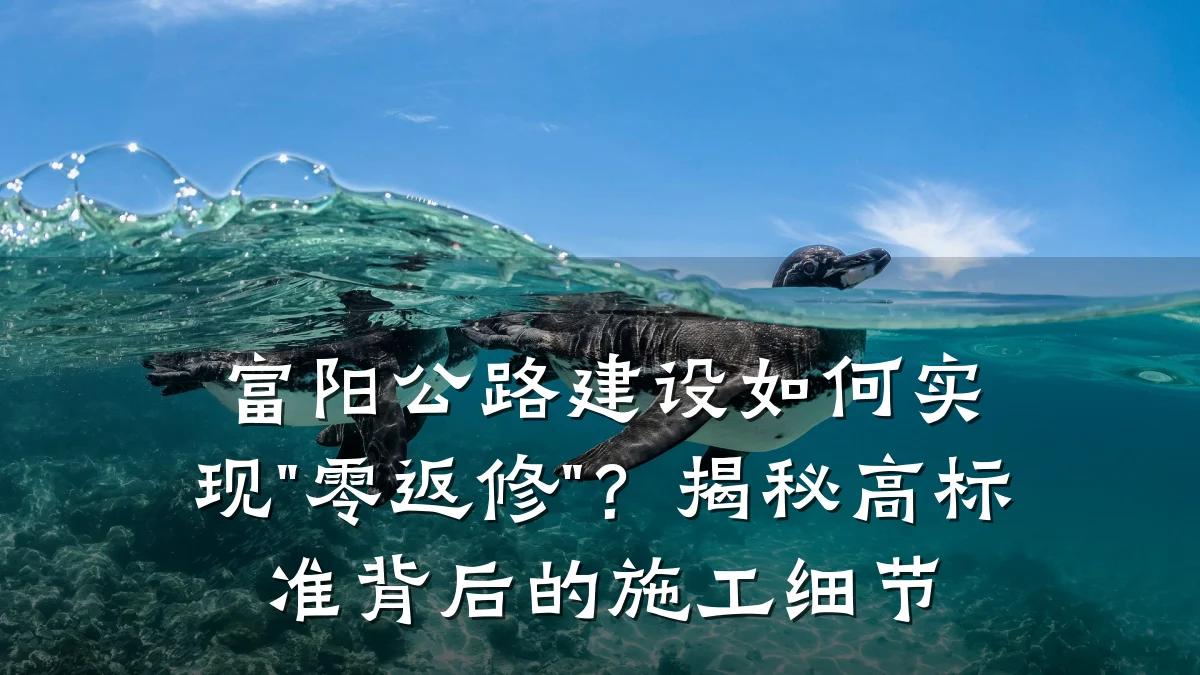 富阳公路建设如何实现"零返修"？揭秘高标准背后的施工细节