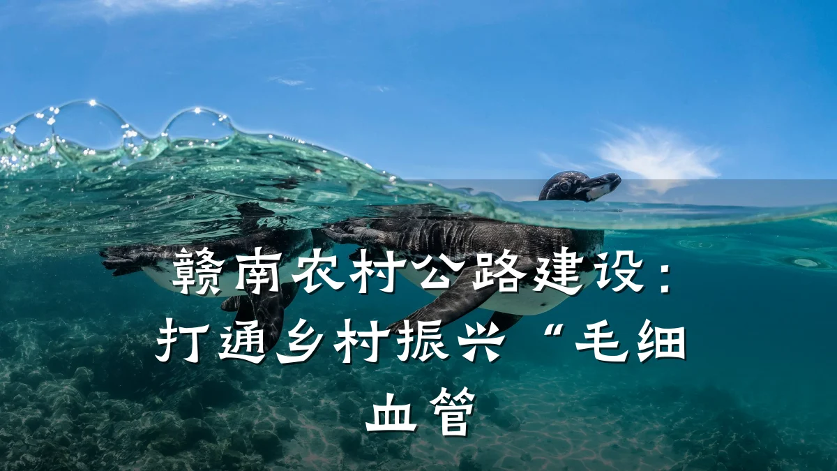 赣南农村公路建设:打通乡村振兴“毛细血管