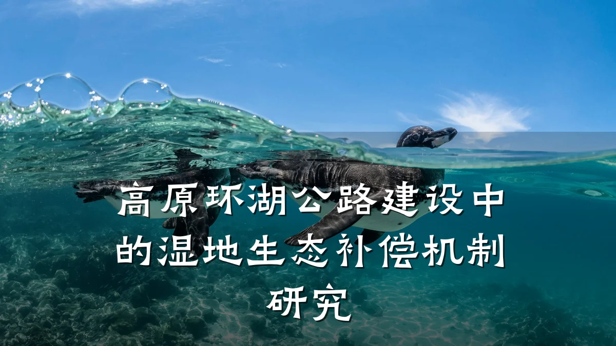 高原环湖公路建设中的湿地生态补偿机制研究