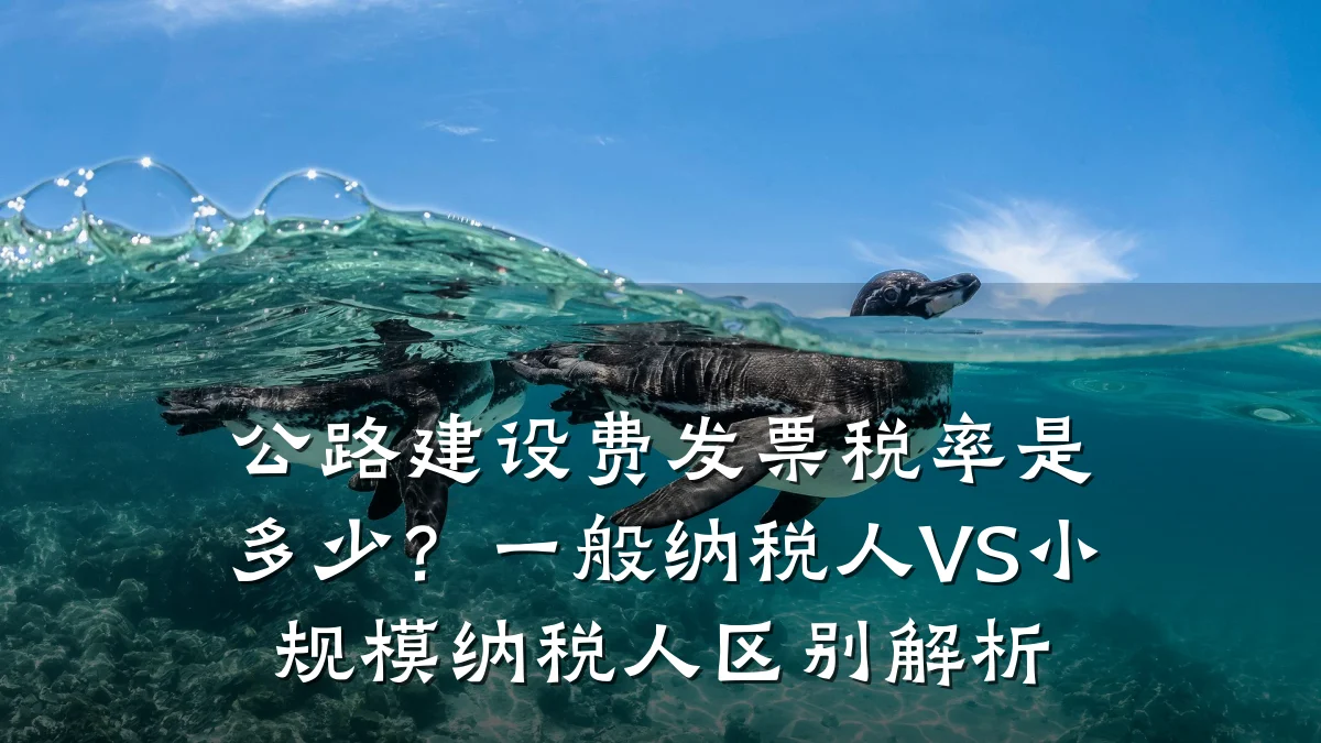 公路建设费发票税率是多少?一般纳税人VS小规模纳税人区别解析