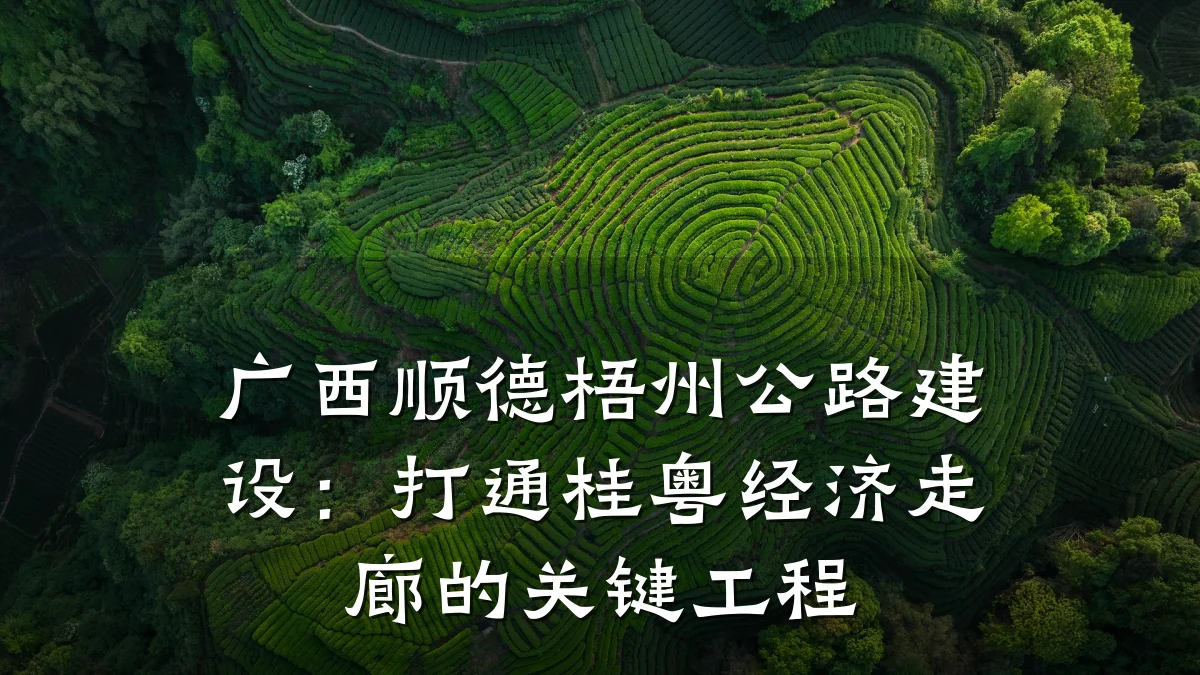 广西顺德梧州公路建设:打通桂粤经济走廊的关键工程