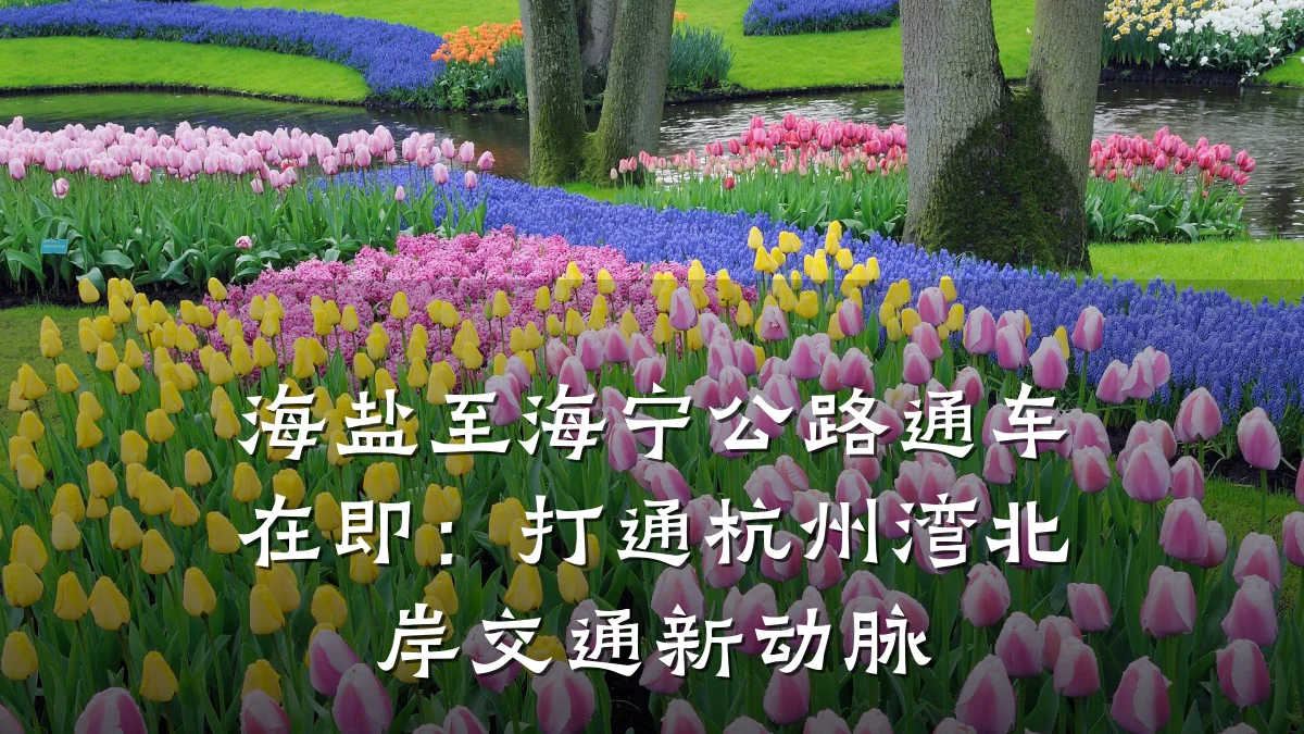 海盐至海宁公路通车在即:打通杭州湾北岸交通新动脉