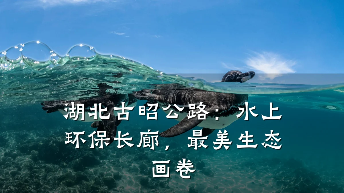 湖北古昭公路:水上环保长廊,最美生态画卷