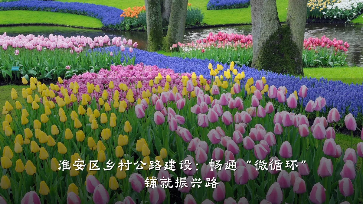 淮安区乡村公路建设：畅通“微循环” 铺就振兴路