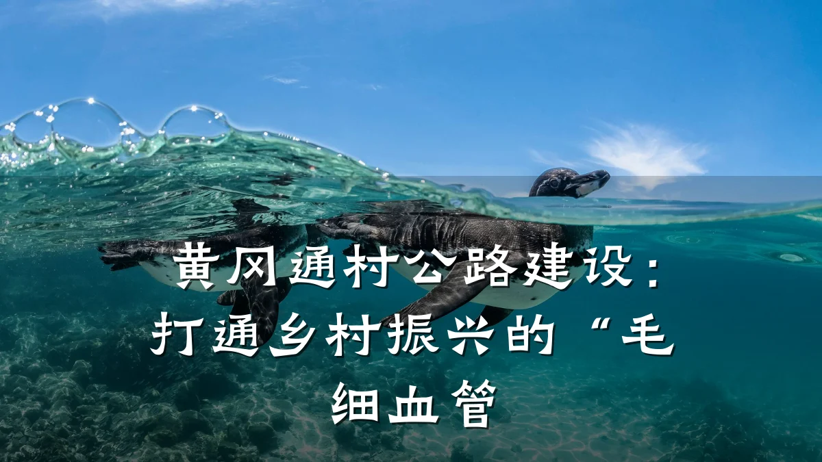 黄冈通村公路建设:打通乡村振兴的“毛细血管