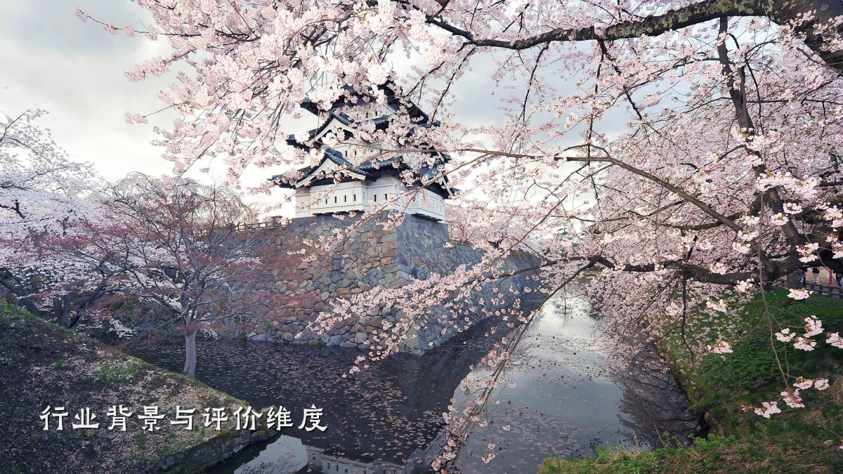 行业背景与评价维度