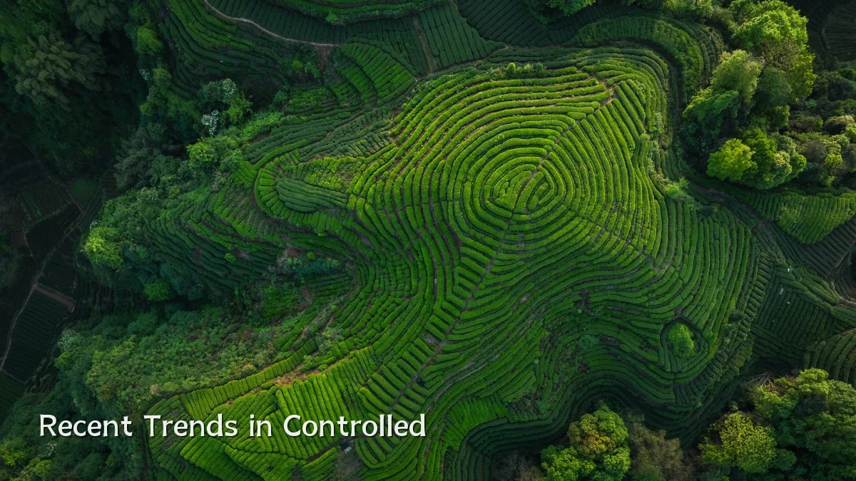 Recent Trends in Controlled