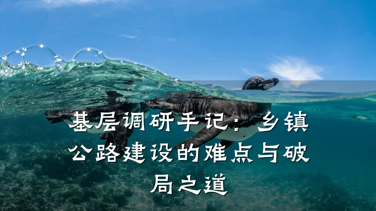 基层调研手记:乡镇公路建设的难点与破局之道