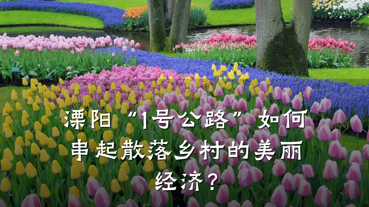 溧阳“1号公路”如何串起散落乡村的美丽经济?