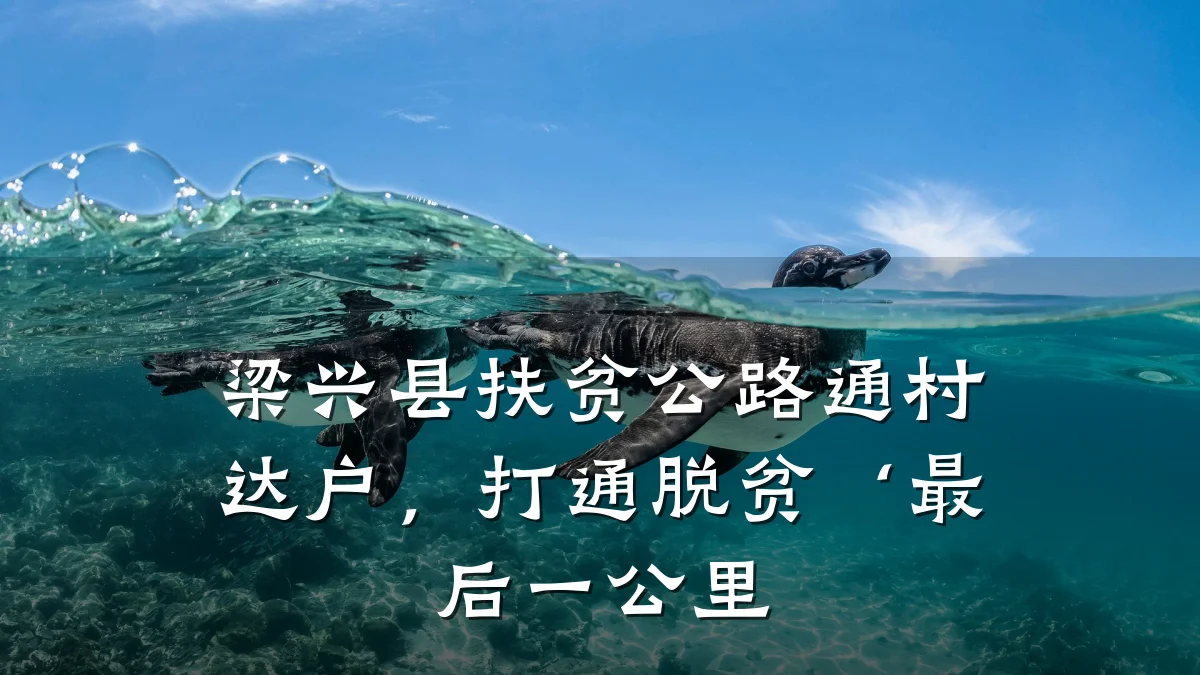 梁兴县扶贫公路通村达户,打通脱贫‘最后一公里