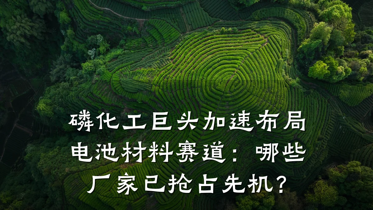 磷化工巨头加速布局电池材料赛道：哪些厂家已抢占先机？