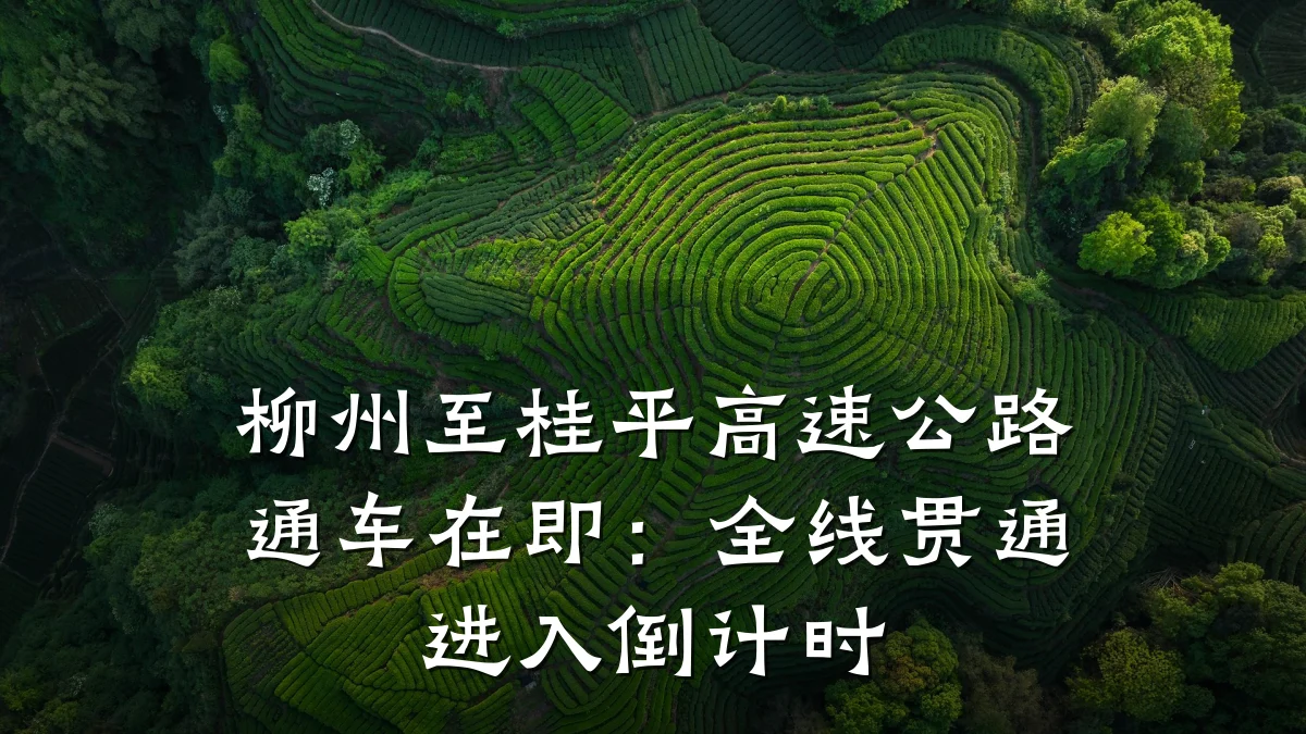 柳州至桂平高速公路通车在即:全线贯通进入倒计时
