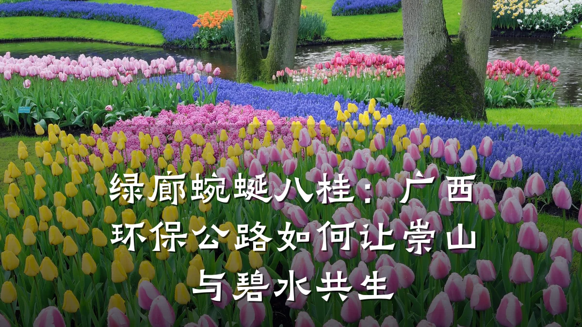 绿廊蜿蜒八桂:广西环保公路如何让崇山与碧水共生