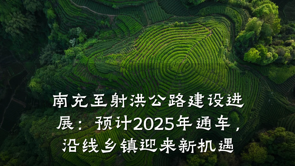 南充至射洪公路建设进展:预计2025年通车,沿线乡镇迎来新机遇