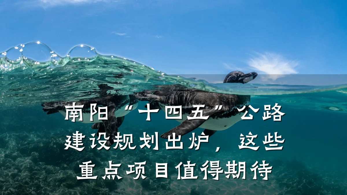 南阳“十四五”公路建设规划出炉,这些重点项目值得期待