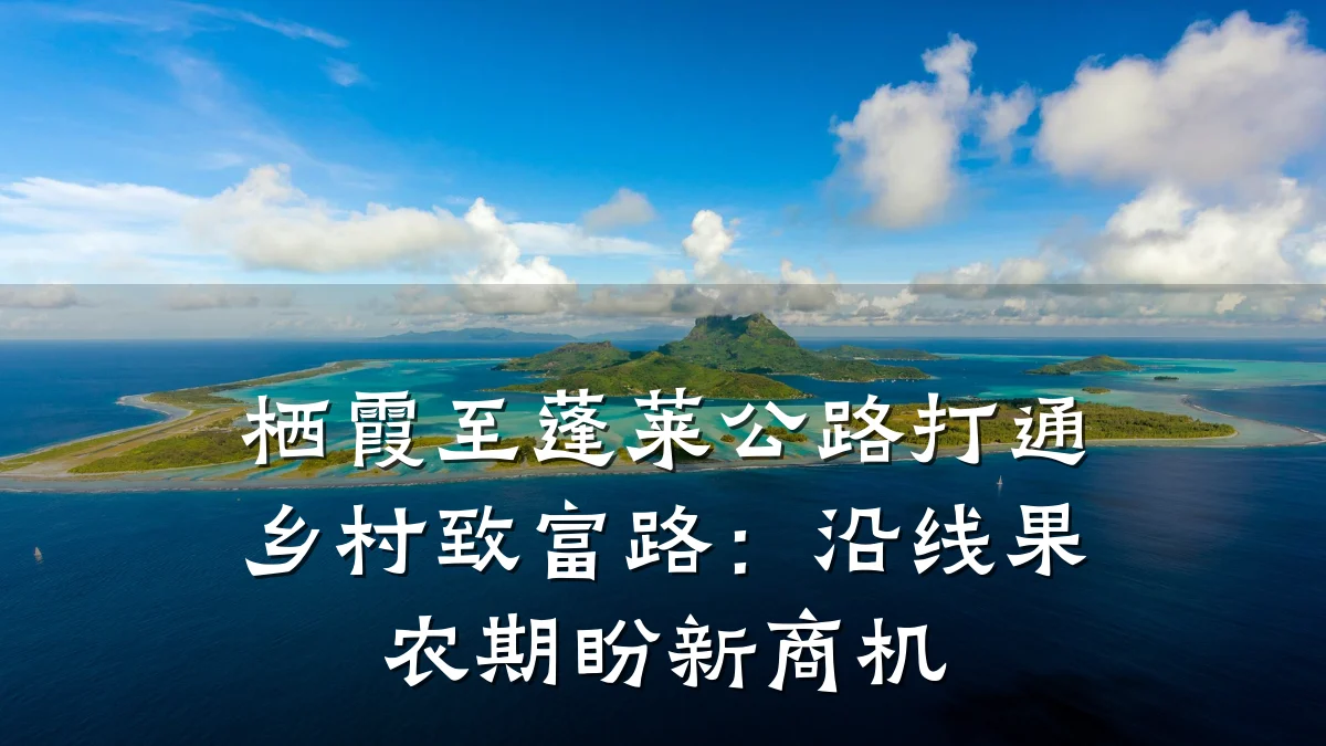 栖霞至蓬莱公路打通乡村致富路:沿线果农期盼新商机