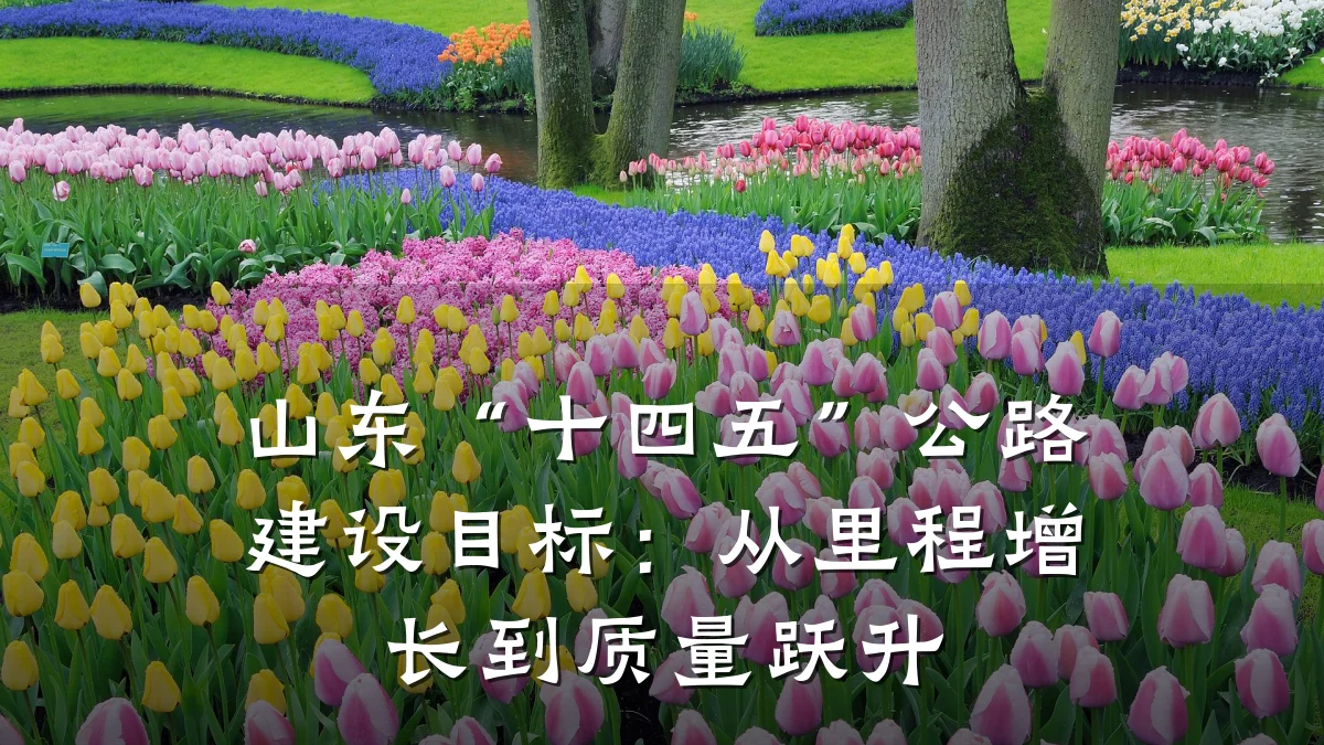 山东“十四五”公路建设目标:从里程增长到质量跃升