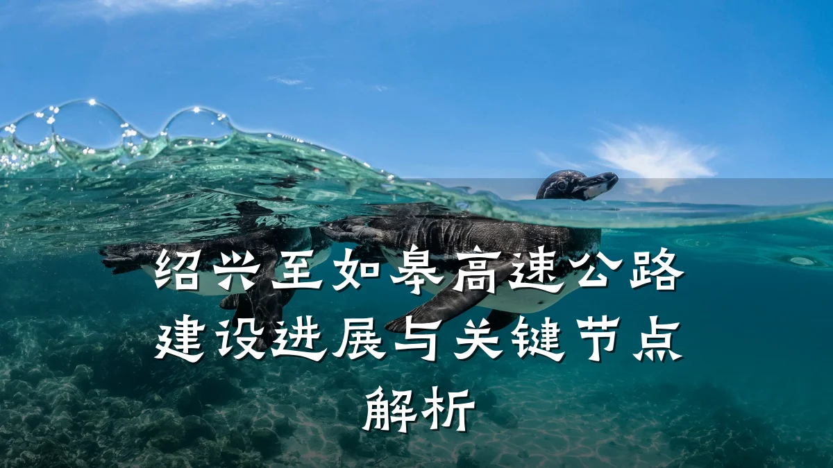 绍兴至如皋高速公路建设进展与关键节点解析