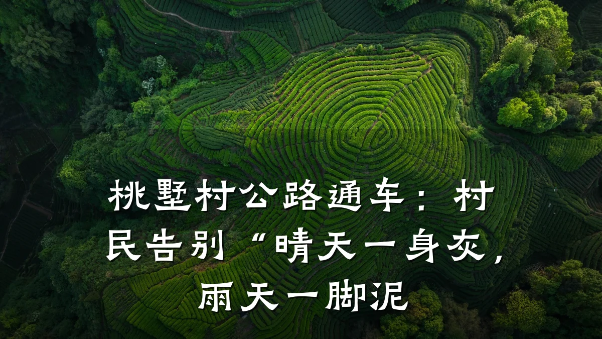 桃墅村公路通车:村民告别“晴天一身灰,雨天一脚泥