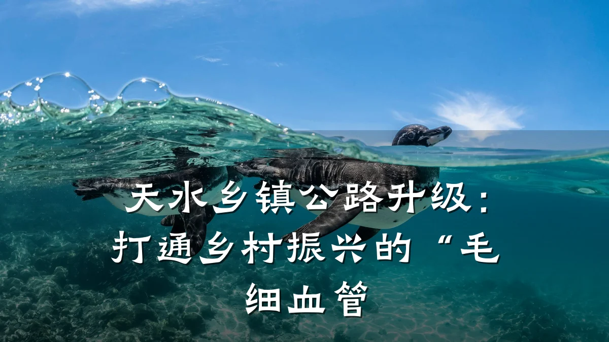 天水乡镇公路升级:打通乡村振兴的“毛细血管