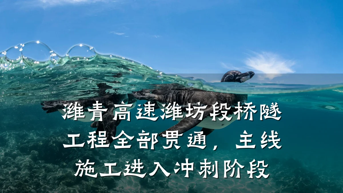 潍青高速潍坊段桥隧工程全部贯通,主线施工进入冲刺阶段
