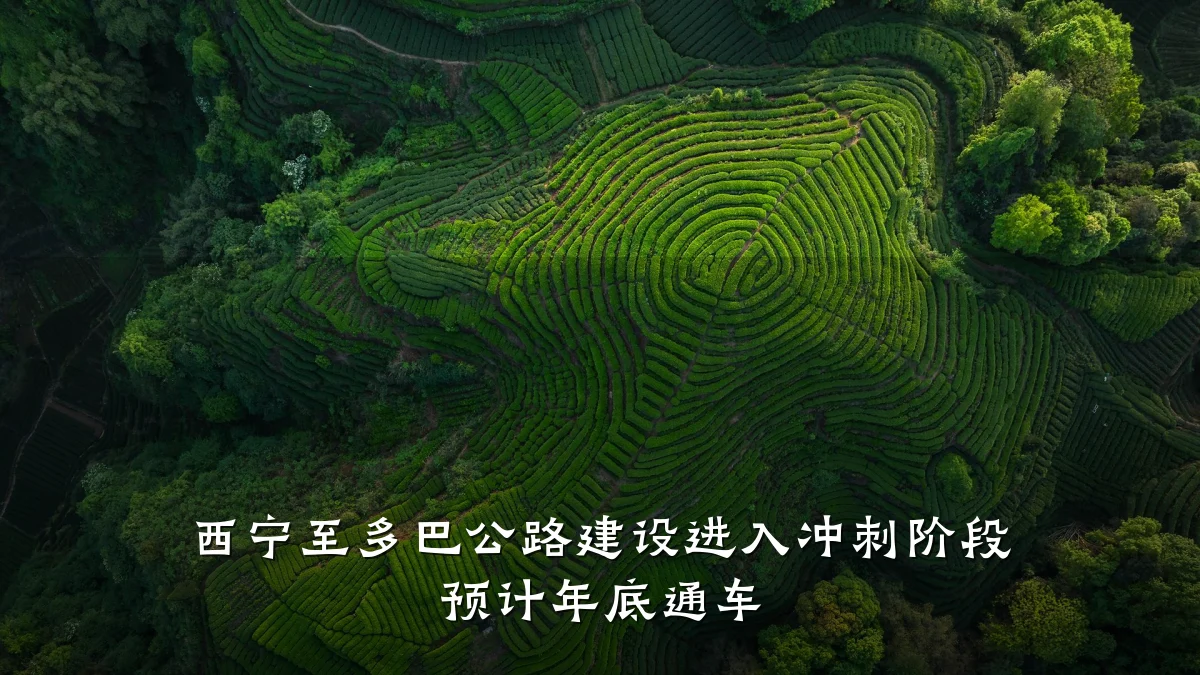 西宁至多巴公路建设进入冲刺阶段 预计年底通车
