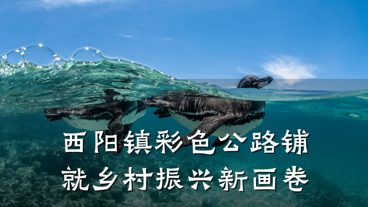 西阳镇彩色公路铺就乡村振兴新画卷