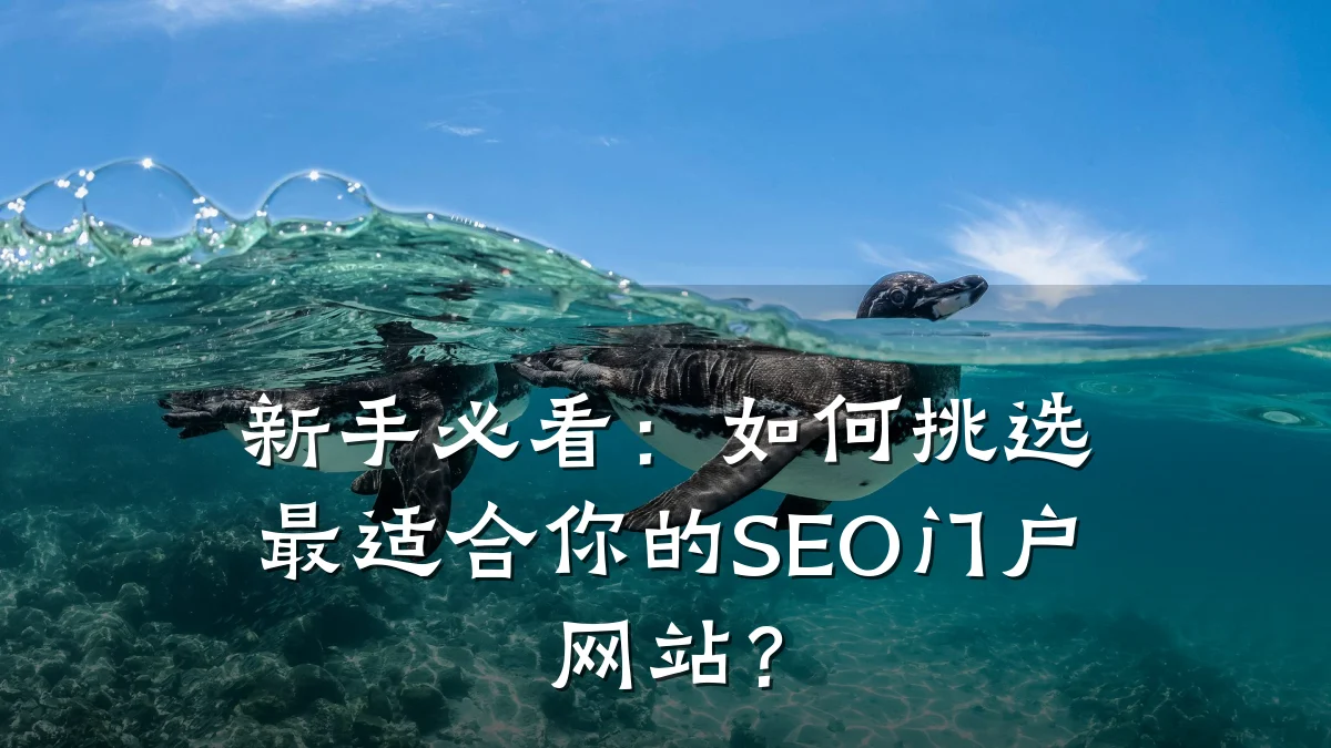 新手必看:如何挑选最适合你的SEO门户网站?