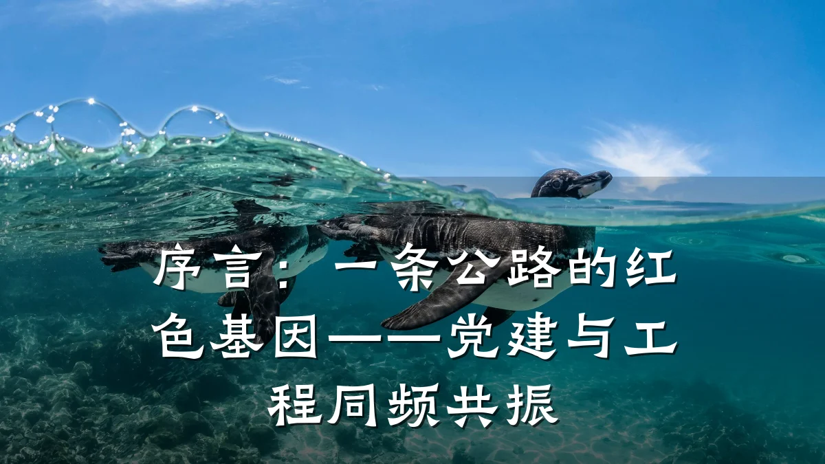 序言:一条公路的红色基因——党建与工程同频共振