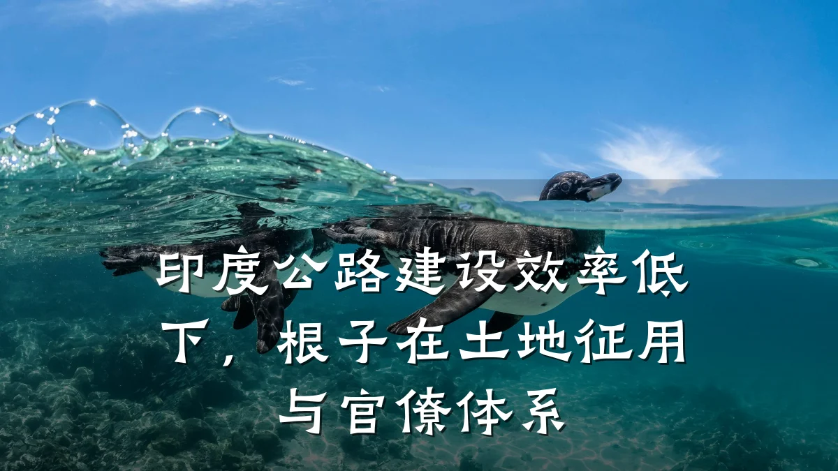 印度公路建设效率低下,根子在土地征用与官僚体系