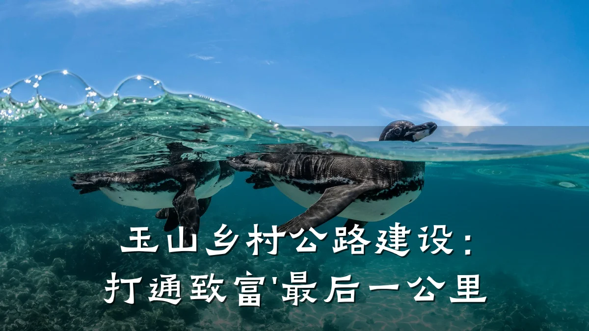 玉山乡村公路建设:打通致富'最后一公里