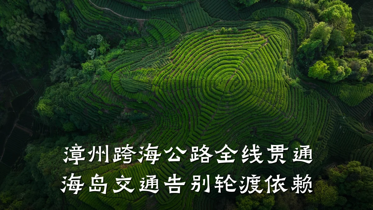 漳州跨海公路全线贯通 海岛交通告别轮渡依赖