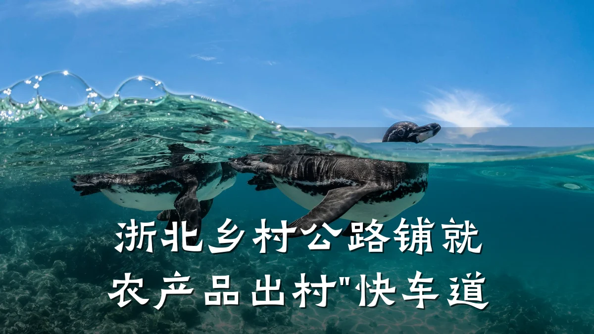 浙北乡村公路铺就农产品出村"快车道