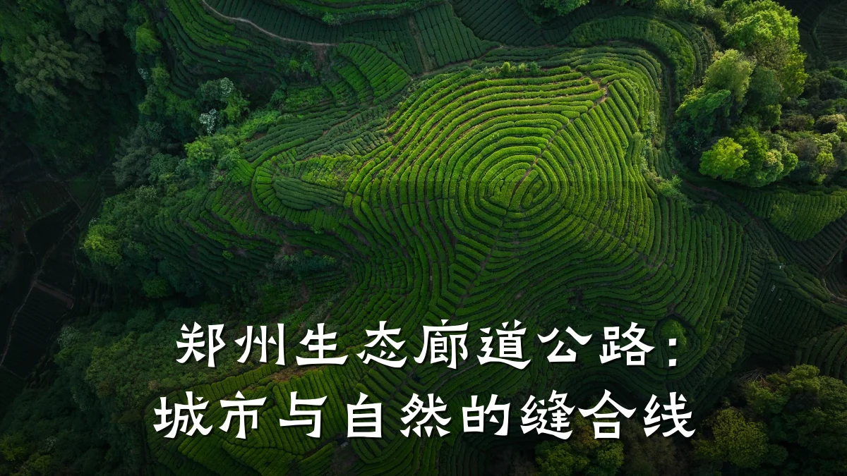 郑州生态廊道公路:城市与自然的缝合线