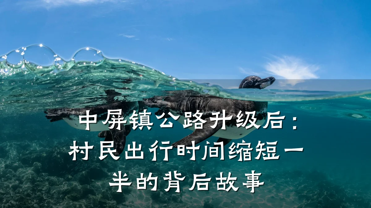 中屏镇公路升级后:村民出行时间缩短一半的背后故事