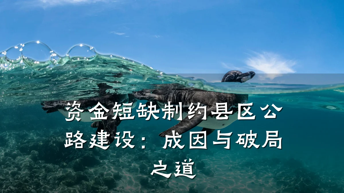 资金短缺制约县区公路建设：成因与破局之道